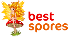 Best Spores